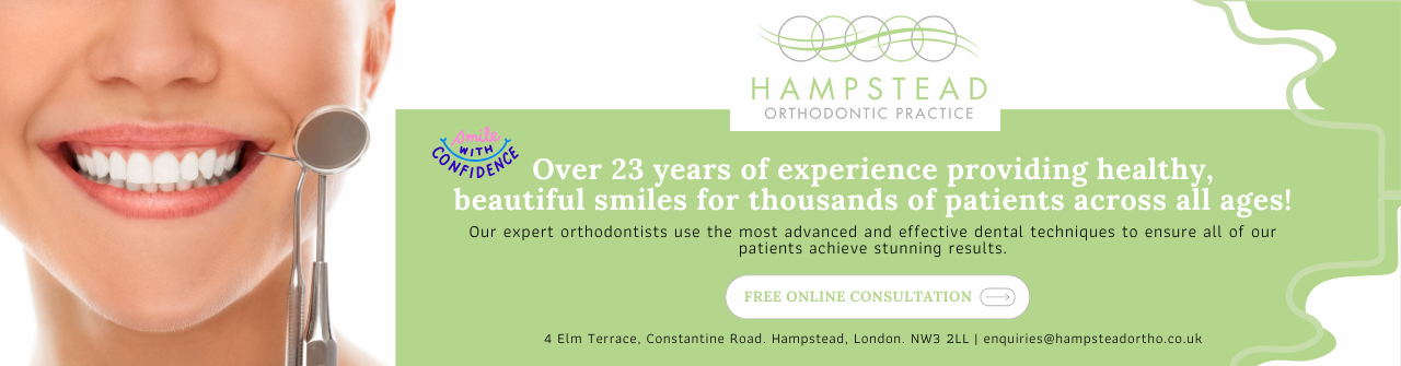 Home - Spourgitis Trans 1 - Netherland Greeklist