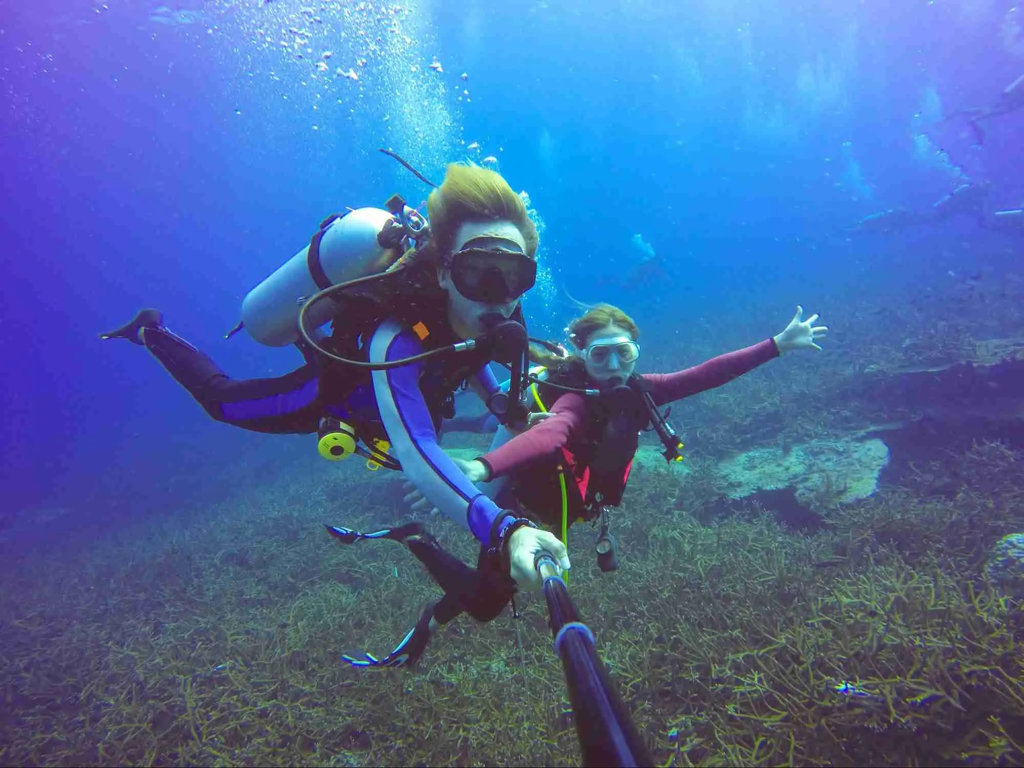 VOZIS TRAVEL